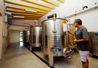 Alcudia, Vineyard Tour & Exclusive Wine Tasting Experience - Hizvo