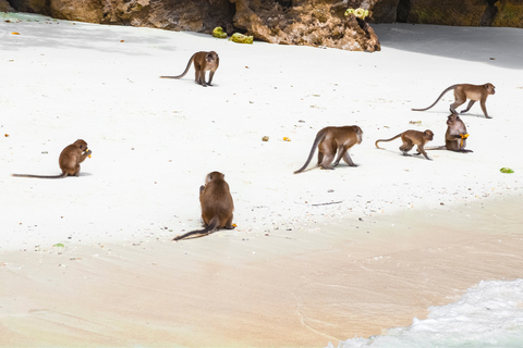 Phuket: PhiPhi 4 Islands Speedboat with Viewpoint Full Day With National Park