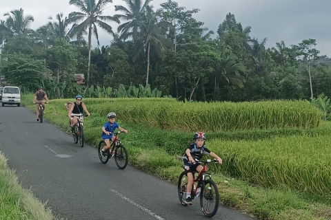 Ubud Cultural Downhill Cycling Tour und Besuch der ReisterrassenStandard Option