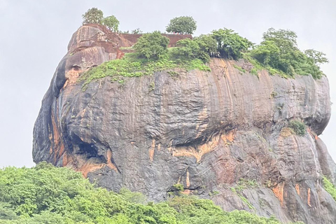 Sigiriya: Family Nature Hike & Kid-Friendly Village Cooking Lion Rock, Cave Temple & Cooking Experience from Kandy
