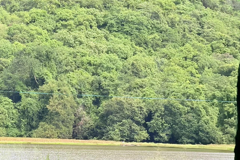 Sigiriya: Family Nature Hike & Kid-Friendly Village Cooking Lion Rock, Cave Temple & Cooking Experience from Kandy