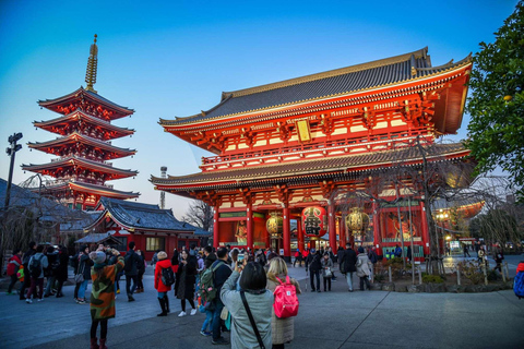 From Tokyo : Tokyo Private City Tour With English Guide Tokyo Private Customized City Tour With English Driver