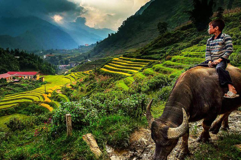 Hanoi: Transfer from/to Sapa by Private Cabin on Sleeper Bus Sleeping Bus from Sapa to Hanoi