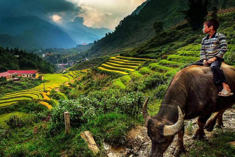 Hanoi: Transfer from/to Sapa by Private Cabin on Sleeper Bus Sleeping Bus from Sapa to Hanoi