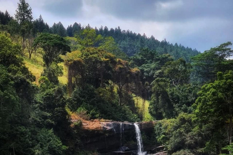 Kandy: Gombaniya Two-Day Cloud Forest Summit Trek