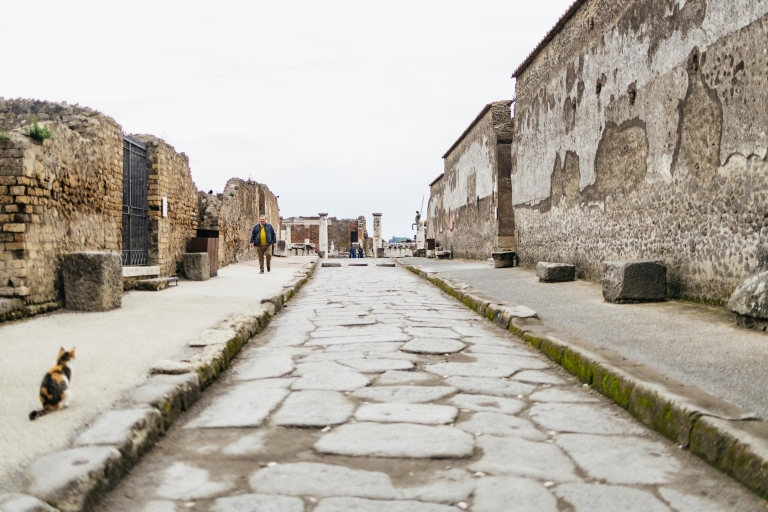 Pompeya: visita guiada por la tardeTour en ingles