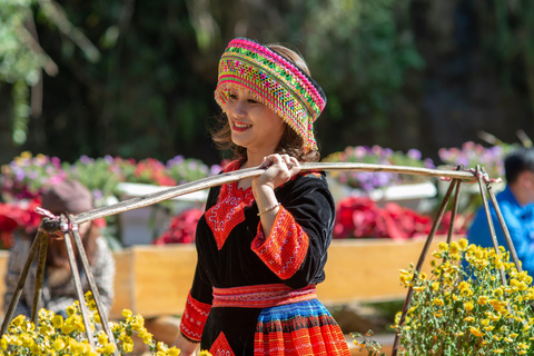 From Ha Noi: 2-Day Sapa and Fansipan Peak Tour with Cable