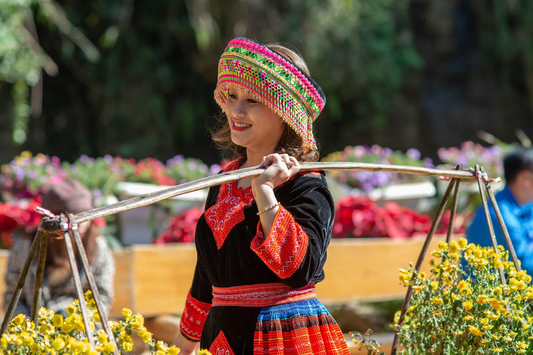 From Ha Noi: 2-Day Sapa and Fansipan Peak Tour with Cable