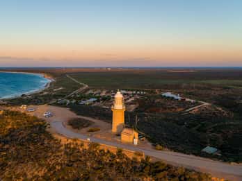 Exmouth: Full day Ningaloo in a Day tour