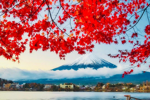 Tokio: Private Tagestour zum Mt.Fuji mit englischsprachigem Fahrer