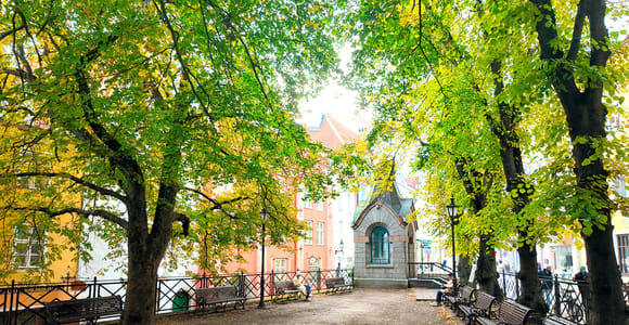 Tallinns Geschichten: 4-stündige kombinierte Bus & Rundgang Tour