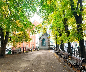 Tales of Tallinn: 4-timmars kombinerad busstur och rundvandring