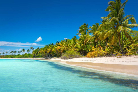 Punta Cana: Isla Saona Speedboat Tour with Snorkeling