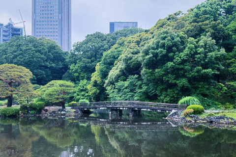 Tokyo: Shinjuku Gyoen Garden Entry & Digital Tea House Guide