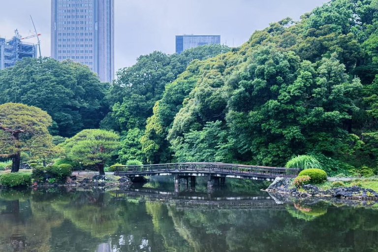 Tokyo: Shinjuku Gyoen Garden Entry & Digital Tea House Guide