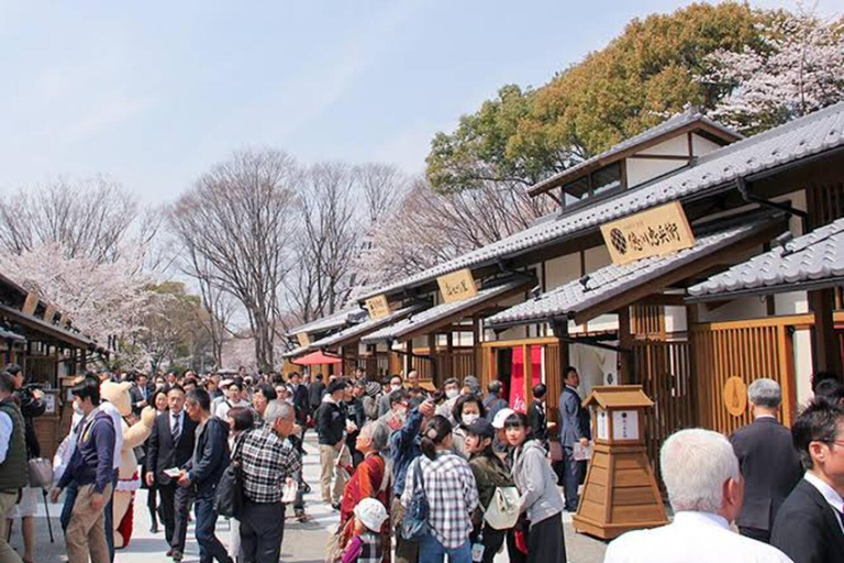 Tour clássico por Nagoya com van particular