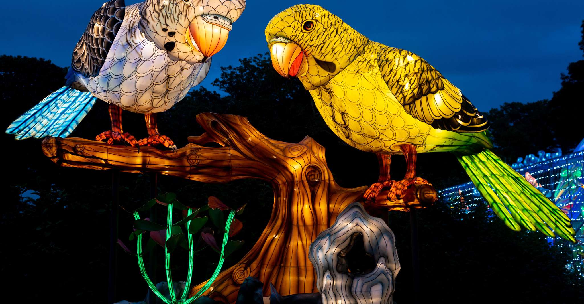 Houston, Radiant Nature Vacances Lumières Expérience Billets - Hizvo