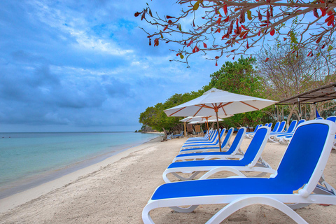 EXPÉRIENCE D'UNE JOURNÉE SUR L'ÎLE DE L'ENCHANTEMENTEXPÉRIENCE D'UNE JOURNÉE À L'ISLA DEL ENCANTO