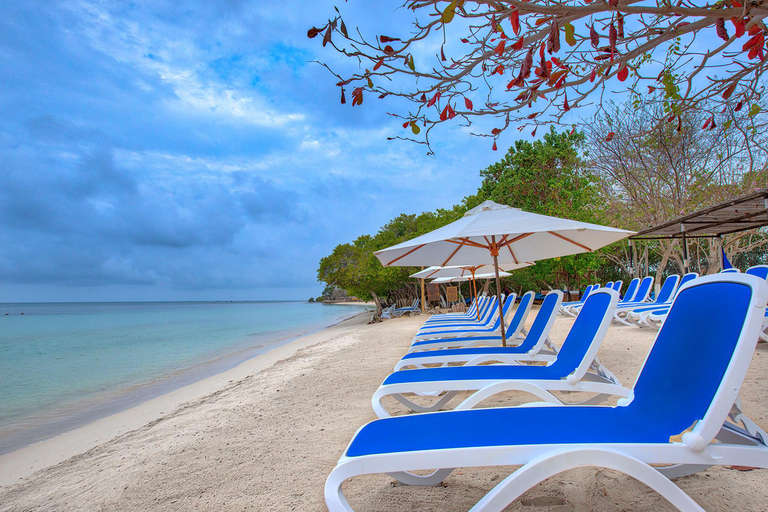 EXPÉRIENCE D'UNE JOURNÉE SUR L'ÎLE DE L'ENCHANTEMENTEXPÉRIENCE D'UNE JOURNÉE À L'ISLA DEL ENCANTO