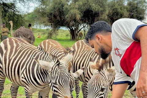 ZANZIBAR: Zakir Wildlife Park Feeding Giraffes, Zebra & More THIS OPTION FOR GUESTS STAYING FAR FROM SOUTH COAST AREAS