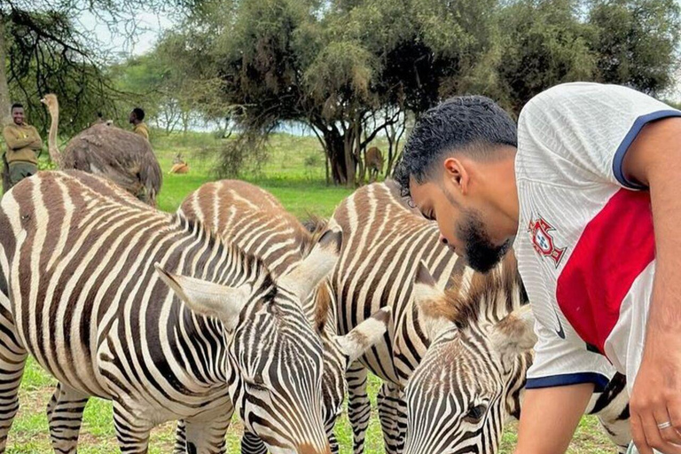 ZANZIBAR: Zakir Wildlife Park Feeding Giraffes, Zebra & More THIS OPTION FOR GUESTS STAYING FAR FROM SOUTH COAST AREAS