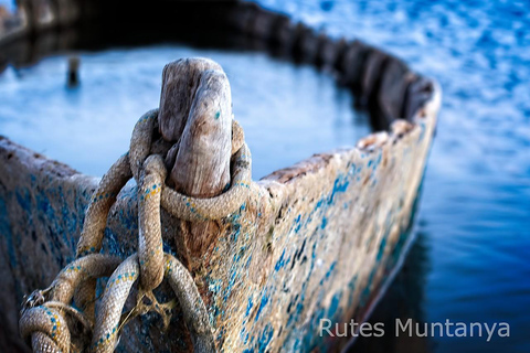Ebro Delta: Birding and Bird Photography in a Van