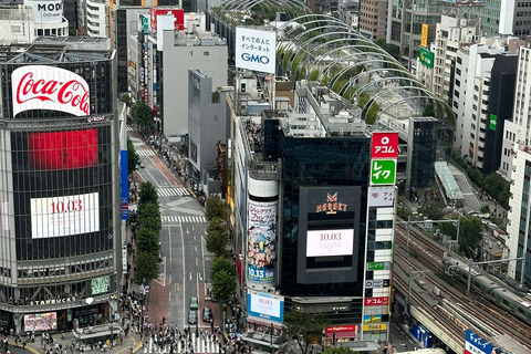 Tokyo: Private Tailored Tour with a Local Guide (2 hours) Tokyo: Private Tailored Tour with a Local Guide