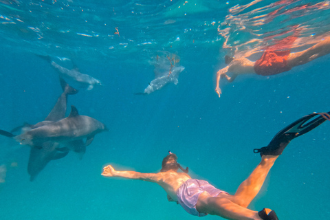 Diani Dhow Adventure to Wasini Island - Kisite Marine Park Dhow Adventure to Wasini Island incl. Kisite Marine Park fee