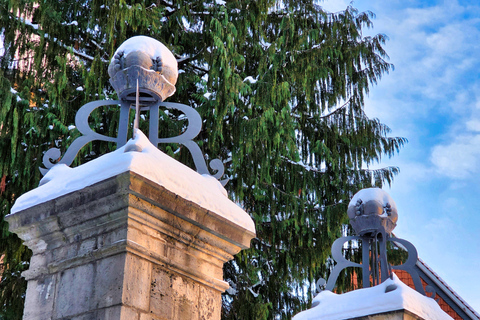 City tour in Braunschweig, Brunonen, monks and saints City tour of Braunschweig for 3 to 6 people
