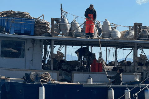 Nápoles: Tour en barco privado por la costa