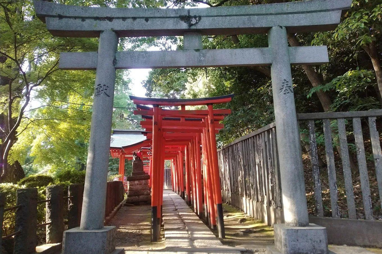 Tokyo Full and Half Day Sightseeing Tour with Mount Fuji Tokyo: 4 Hours Private City Sightseeing Tour with Tour Guide