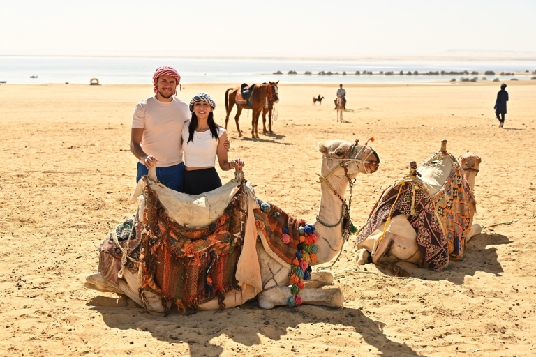 Z Kairu: pustynne safari 4x4, sandsurf i przejażdżka na wielbłądachWspólna wycieczka z lunchem