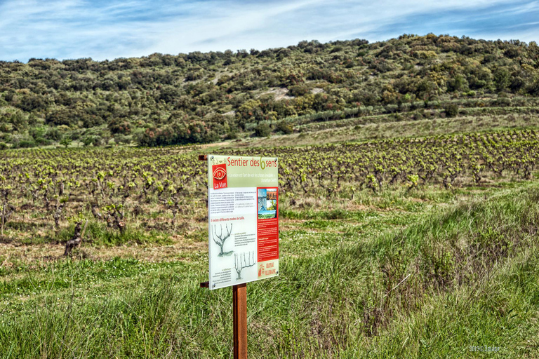 Château Villemagne: قم بزيارة القبو وتذوق النبيذ لدينا.