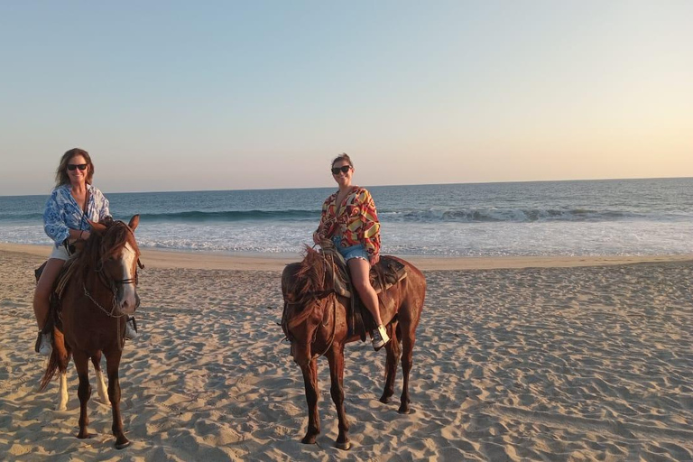 Sunset by Horse on the Beach