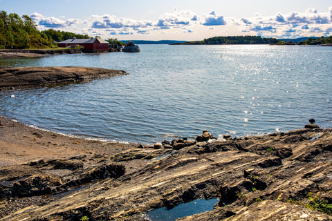 Oslo Island Hopping Guided Tour with Public Ferry & Transfer