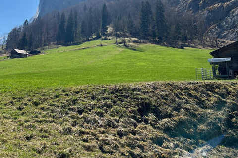 Von Basel aus: Private Tour zu den Alpen, Wasserfällen und Seen