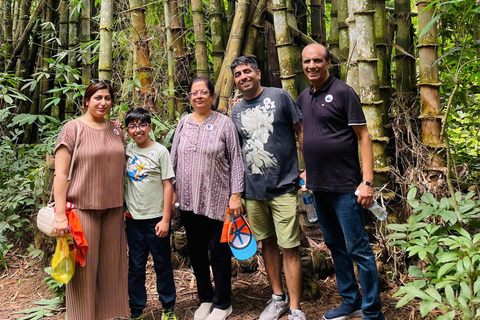 Ho Chi Minh City: Cu Chi Tunnels Half-Day Tour with Snacks VIP Tour (Maximum 10 People)