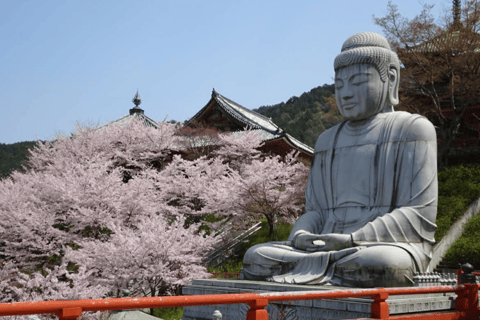 Nara Hidden Gems: Deer, Tsubosaka-dera, Kasuga & Naramachi
