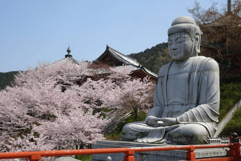 Nara Hidden Gems: Deer, Tsubosaka-dera, Kasuga & Naramachi