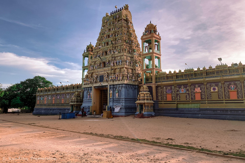 Au départ de Colombo : 4 jours de visite des temples du Triangle culturel