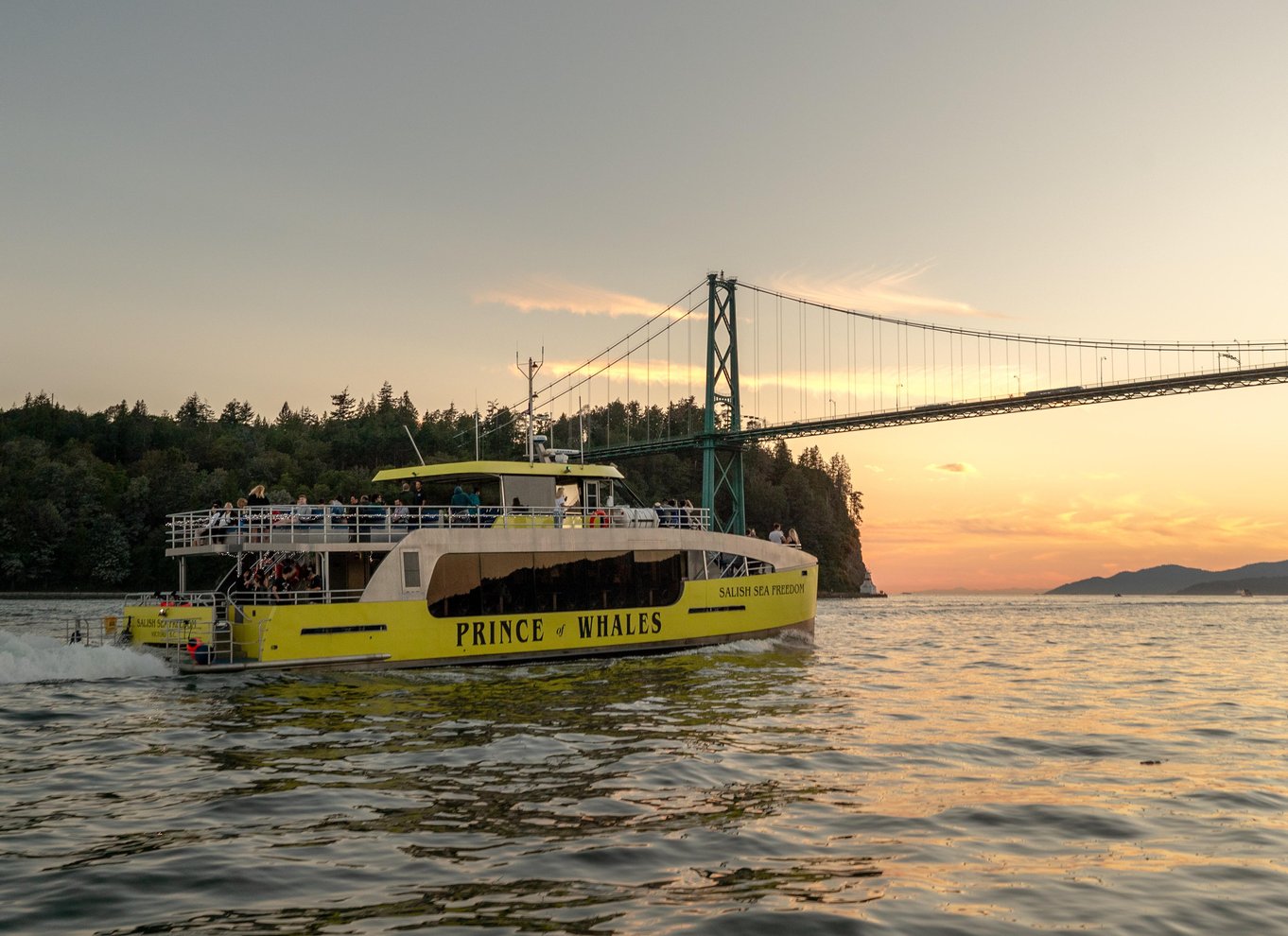 Fra Vancouver: Hval- og dyrelivssafari med gratis fotos