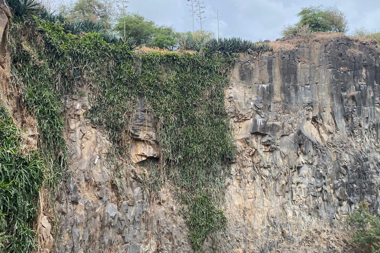 A Day in the Countryside: Immersion in Family Life in Ribeirão de Kal – All Inclusive A Day in the Countryside: Family Life Immersion in Ribeirão de Kal – All Inclusive