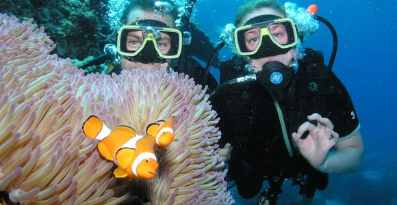 Cairns: Pro Dive Great Barrier Reef 3 Day/2 Night Dive Trip