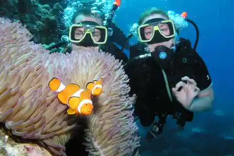 Cairns: Great Barrier Reef 3-Day Liveaboard Dive Trip