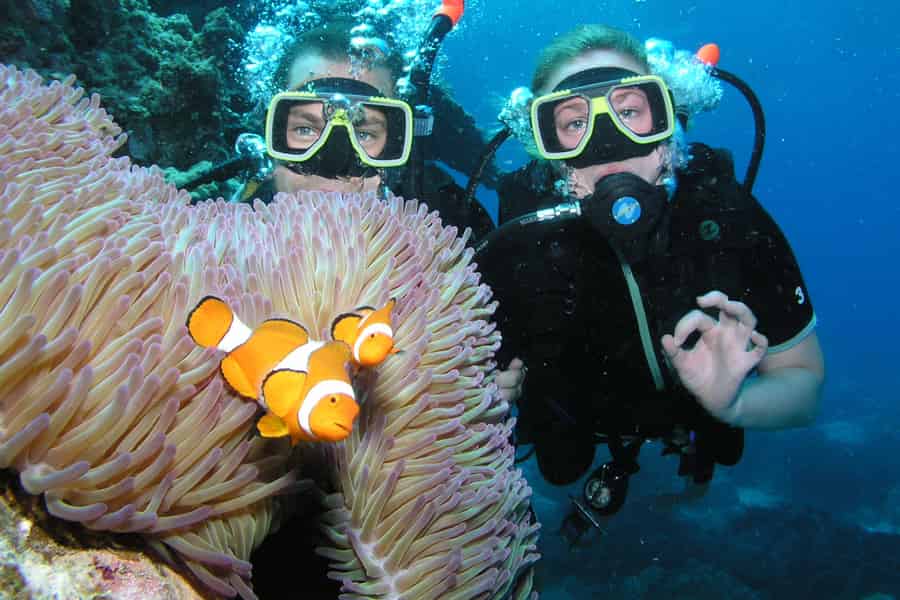 Cairns: Pro Dive Great Barrier Reef 3 Tage/2 Nächte Tauchtrip. Foto: GetYourGuide