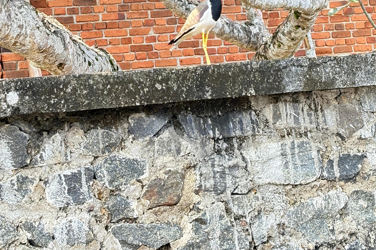 Bentota: River Boat Safari and Tuk-Tuk Ride with Pickup-Drop