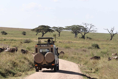 Os melhores 5 dias no Parque Nacional do Serengeti