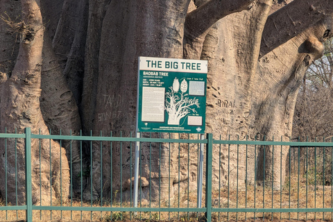 Victoria Falls Leisure Walk & Big Tree Experience