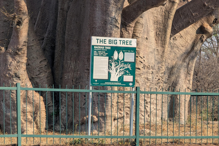 Victoria Falls Leisure Walk & Big Tree Experience