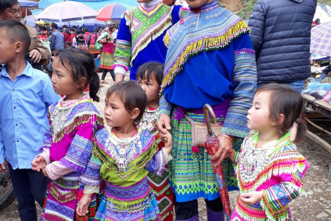 From Sapa: 1D Local Bac Ha Sunday Market Tour - Best Seller Bac Ha Market Tour with Local Lunch ( Lunch Included )